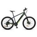 E-Mountainbike RR Crosstourer 36V 10Ah