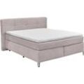 Boxspringbett "Fairfield", rosa, B:204cm L:218cm, 92% Polyester, 8% Nylon, SET ONE BY MUSTERRING, Komplettbetten, mit Metallfuß schwarz, Wendematratze, Breite 160 oder 180 cm