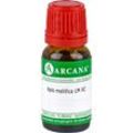 Apis Mellifica Lm 90 10 ML