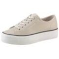 Sneaker CALVIN KLEIN JEANS "BOLD VULC FLATF LOW LTH IN" Gr. 37, beige, Damen, Leder, unifarben mit Farbeinsatz, Schuhe, Halbschuh, Schnürschuh, Freizeitschuh mit CK-Logo an der Ferse