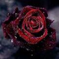 Diamond Painting Rose 5D Diamant Painting Bilder Full Set diy Crystal Strass Stickerei Painting Mit Diamant Malerei Zubehör