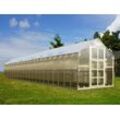 Dancover Gewächshaus Polycarbonat TITAN Classic 480, 23,8m², 2,35x10,12m, Silber