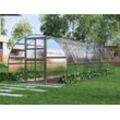 Dancover Gewächshaus Polycarbonat TITAN Arch 320, 24m², 3x8m, Silber