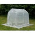 Dancover Foliengewächshaus, 2x2x2m, PE, 4m², Transparent