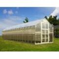 Dancover Gewächshaus Polycarbonat TITAN Classic 480, 19,1m², 2,35x8,12m, Silber