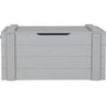 Truhe WOOOD "Dennis", grau (beton grau), B:90cm H:42cm T:42cm, Holzwerkstoff, Truhen, Aufbewahrungskiste, aus Massivholz, Breite 96 cm