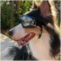 Haustier-Hunde-Sonnenbrille, wasserdicht, winddicht, Anti-UV-Schutzbrille für Haustiere