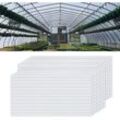 Polycarbonat 14x Hohlkammerstegplatten, 4mm 10,25 m² Doppelstegplatte für Gewächshaus Garten Treibhaus Ersatzplatten (60.5 x 121cm) - Transparent