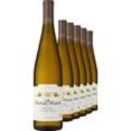 2022 Chateau Ste. Michelle Columbia Valley Riesling im 6er-Vorratspaket