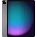 Apple iPad Pro 12,9 256GB [Wi-Fi, Modell 2021] space grau