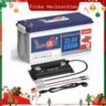 Timeusb - 24V100Ah LiFePO4 Akku Lithium Batterie+29,2V 20A Batterieladegerät für 24V LiFePO4 Batterie(Zwei Pakete verschickt)