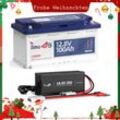 Timeusb Lithium Batterie 12V100Ah LiFePO4 Akku H190+14,6V 20A Batterieladegerät für 12V LiFePO4 Batterie(Zwei Pakete verschickt)