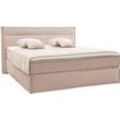 Boxspringbett MUSTERRING "JustB SC100", beige (creme, beige), B:200cm L:215cm, Komplettbetten, schwebende Optik, inklusive Topper, verschiedene Farben, 180 x 200 cm