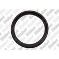 Vaillant Dichtring EPDM (DN 60) 106563 Vaillant-Nr. 106563