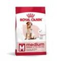 ROYAL CANIN Medium Adult 7+ 15 kg