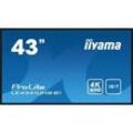 iiyama ProLite LE4341UHS 42.5" 16:9 4K 18/7 IPS Display schwarz