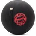 Sitzball FC BAYERN