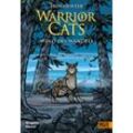 beltz verlag Warrior Cats - Wind des Wandels