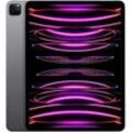 Apple iPad Pro 2022 12.9 Zoll 128GB WiFi spacegrau