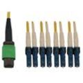 Eaton Tripp Lite Series 400G Singlemode 9/125 OS2 Switchable Fiber Optic Kabel (12F MTP/MPO-APC zu 4x Duplex LC/UPC F/M)