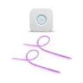 Philips Hue LED Outdoor Lightstrip 2m 2er-Set + Bridge