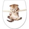 WC-Sitz ADOB "Cat", bunt (weiß, bunt), B:38,5cm H:4,2cm L:45cm, Duroplast, Edelstahl, WC-Sitze, Absenkautomatik, zur Reinigung auf Knopfdruck abnehmbar