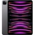 Apple iPad Pro 11 512GB [Wi-Fi + Cellular, Modell 2022] space grau