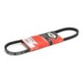 GATES Keilriemen VW,AUDI,SEAT 6260MC P112039,4153106,2068047 0775300590009,23223118,4070393,AVX10x732La,2189953,5001014844,026145271,068903137F