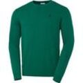 U.S. POLO ASSN. Herren Pullover Rundhals grün