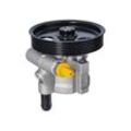 MEYLE Hydraulikpumpe RENAULT,DACIA 16-14 631 0006 491106541R,7700419117,8200163443 8200562164,8200711390,491100699R,491103569R,491109998R,8200271082