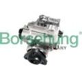 Borsehung Hydraulikpumpe, Lenkung für VAG 8E0145155E B18225