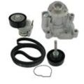 SKF Wasserpumpe + Keilrippenriemensatz mit Dichtungen für SKODA VW ALFA ROMEO (SVW) SEAT PEUGEOT (FAW) FIAT AUDI CITROËN LANCIA 03C121005S 1JD145299A