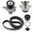 SKF Wasserpumpe + Keilrippenriemensatz mit Dichtungen für RENAULT ALFA ROMEO DACIA TOYOTA VAUXHALL MERCEDES-BENZ LANCIA OPEL NISSAN 8200725951 9316180