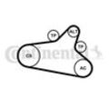 CONTINENTAL CTAM Keilrippenriemensatz für PEUGEOT CITROËN 1613444980 1611277480 16112774 6PK1020 EXTRA K1