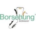 Borsehung Steuerkettensatz für VAG 03H109503B+ 021109465B+ 066109507D+ B10207