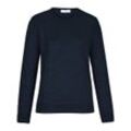 Pullover aus 100% Schurwolle-Pure Tasmanian Wool Peter Hahn blau