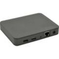 Silex Technology DS-600 Netzwerk USB-Server LAN (10/100/1000 MBit/s), USB-A (USB 3.2 Gen 1), USB-A (USB 2.0)