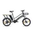 Chrisson eCargo 20 E Bike Lastenrad 20 Zoll Damen oder Herren 155 - 190 cm Pedelec Lastenfahrrad 8 Gänge