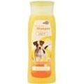 Hunde Shampoo soft Glanz u.leichtes Kämm 300 ml