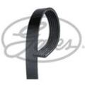 GATES Keilrippenriemen Micro-V® Stretch Fit® schwarz für FORD USA ASIA & OCEANIA MAZDA C201-15-909 8V2Q6D314AB 8V2Q6D314AA 6PK1019SF