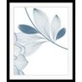 Bild QUEENCE, blau (schwarz), B:50cm H:70cm, Bilder, Blumen, gerahmt