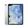 Apple iPad Pro 2 (11") 512 GB Wi-Fi + Cellular - Silber (Zustand: Sehr gut)