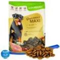 4 kg Lecker.Pet® Gino's Adult Maxi mit Huhn Hundefutter Trockenfutter Vollnahrung + Ballschleuder