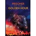 Tr Brown - Prisoner Of The Golden Hour