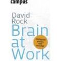 David Rock - Brain at Work: Intelligenter arbeiten, mehr erreichen