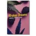 Broken Dreams | Feminisierte Cannabissamen von Dope Seeds | 3 Hanfsamen