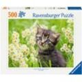 Puzzle RAVENSBURGER "Kätzchen in der Wiese", bunt, Puzzles, KinderB:49cm H:36cm, Made in Germany, B:49cm H:36cm