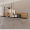 Wandboard INOSIGN "Novena", braun (catania eiche, schwarz), B:160cm H:22,6cm T:20cm, Holzwerkstoff, Regale, Breite 160cm