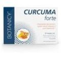 CURCUMA forte mit NovaSol Curcumin