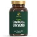 GINKGO & GINSENG + B12